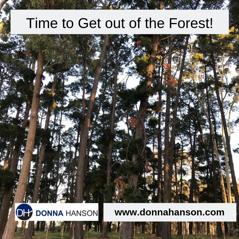 Get Out of the Forest!